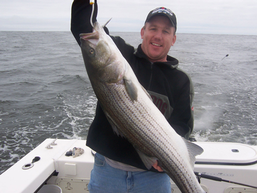 north shore charter fishing striped bass